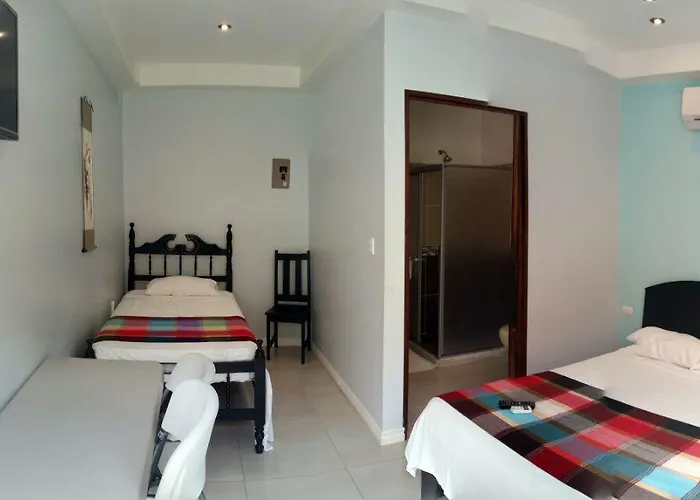 Guest house Cabinas *